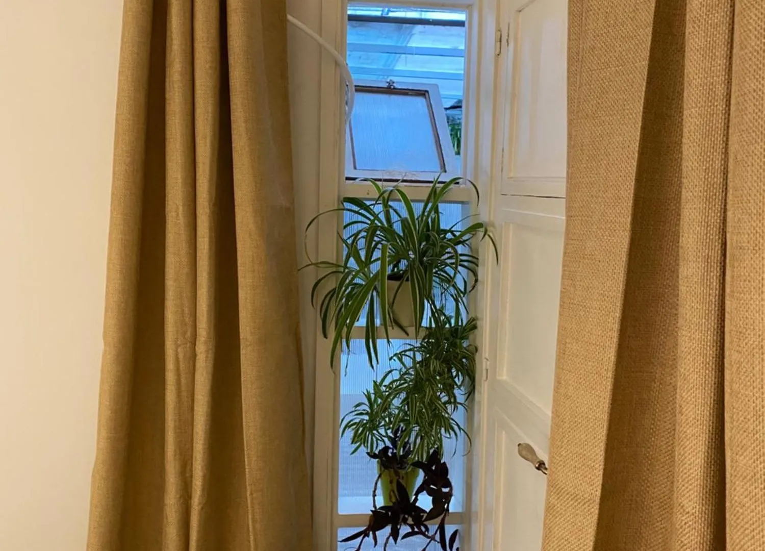 Studio Or Rooms With Private Bathroom Or Rooms With Shared Bathroom Barcelona 0*,  Spain